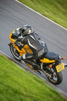 Evening Low_Mid Group Yellow Bikes